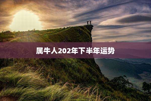属牛人202年下半年运势