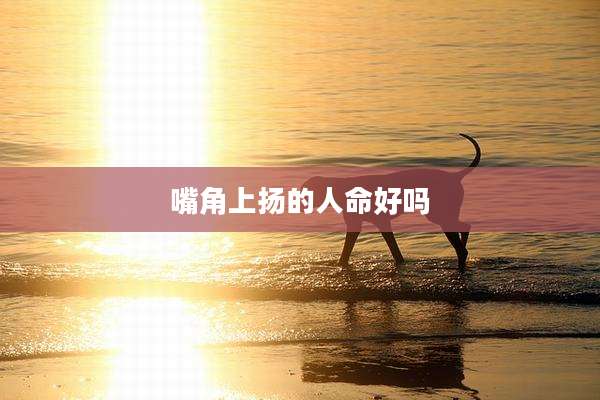 嘴角上扬的人命好吗