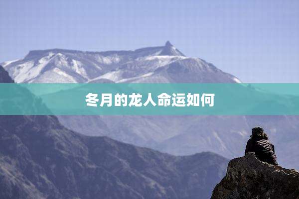 冬月的龙人命运如何