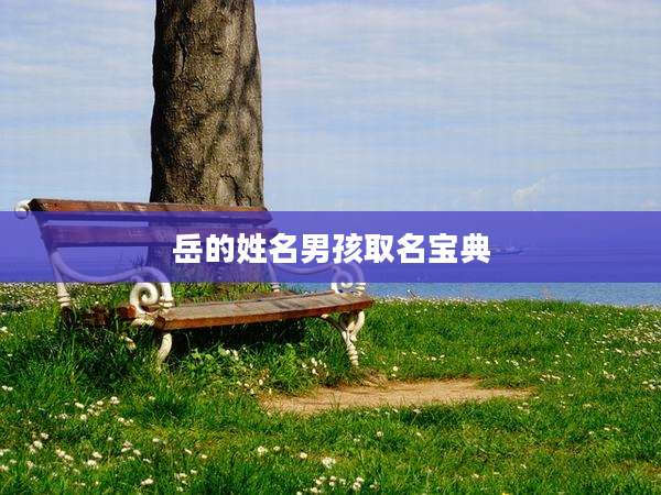 岳的姓名男孩取名宝典