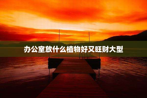 办公室放什么植物好又旺财大型