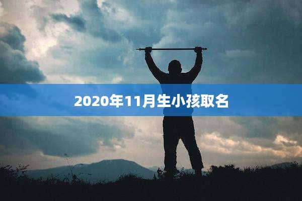 2020年11月生小孩取名