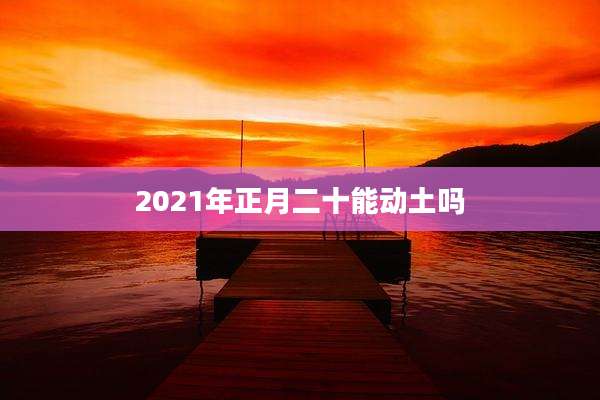 2021年正月二十能动土吗