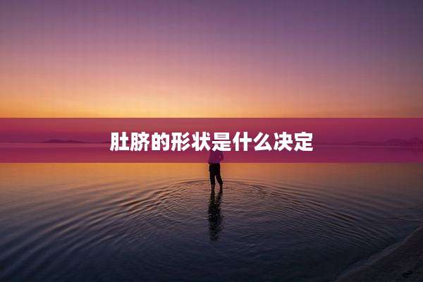 肚脐的形状是什么决定