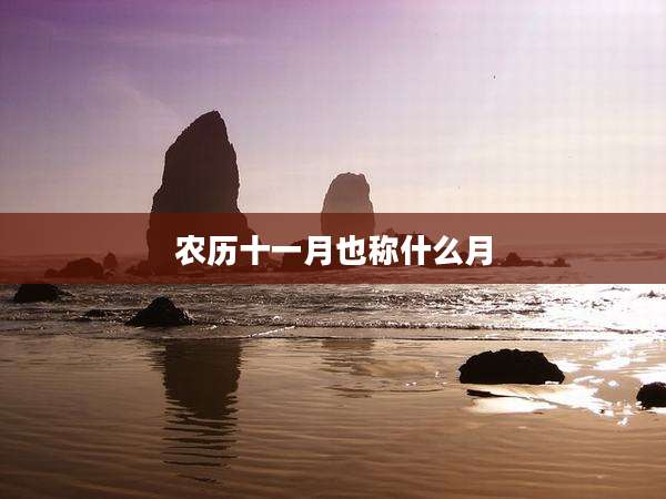 农历十一月也称什么月