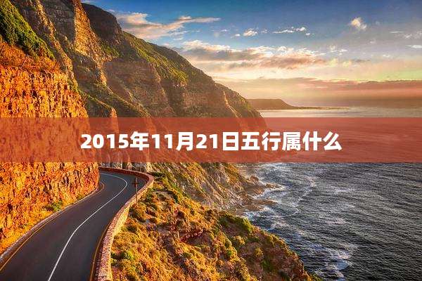 2015年11月21日五行属什么