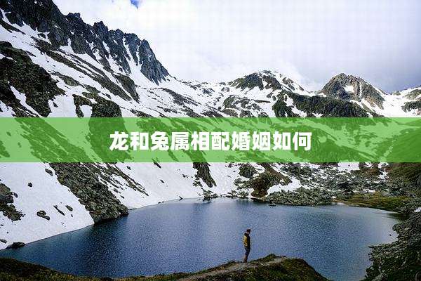 龙和兔属相配婚姻如何