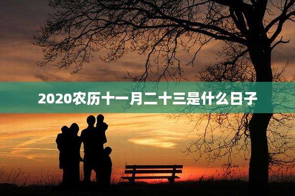 2020农历十一月二十三是什么日子