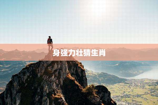 身强力壮猜生肖