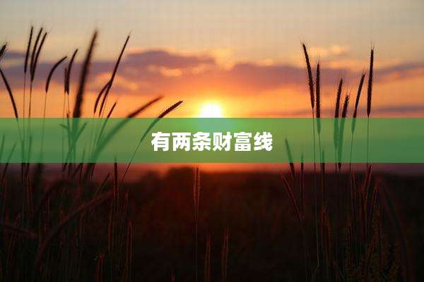 有两条财富线