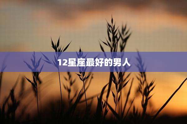 12星座最好的男人