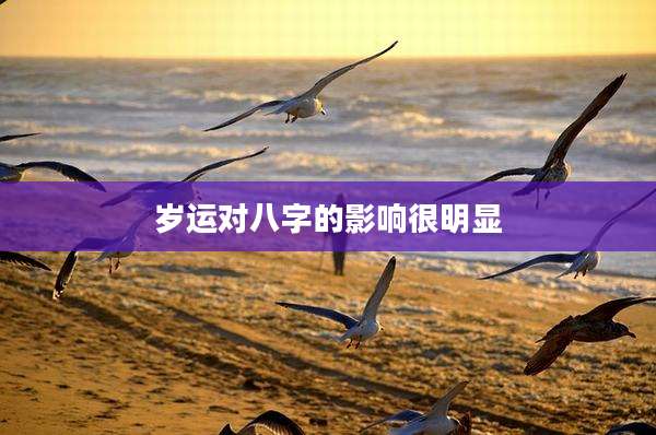 岁运对八字的影响很明显