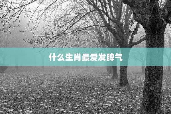 什么生肖最爱发脾气