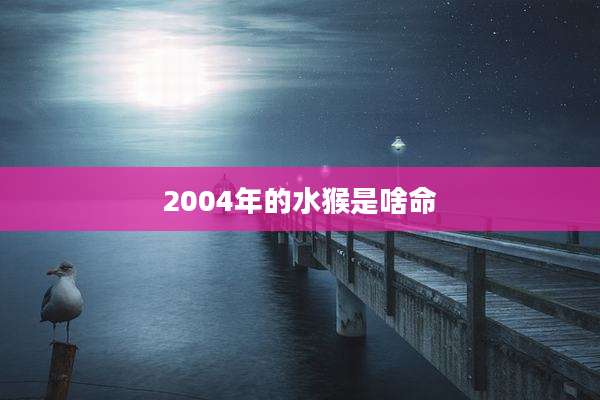 2004年的水猴是啥命