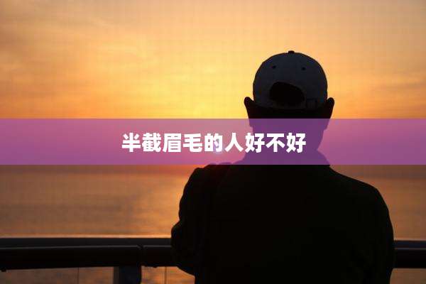 半截眉毛的人好不好