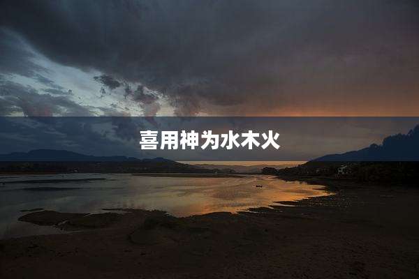 喜用神为水木火