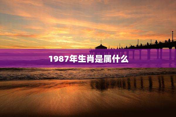 1987年生肖是属什么