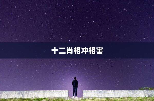 十二肖相冲相害