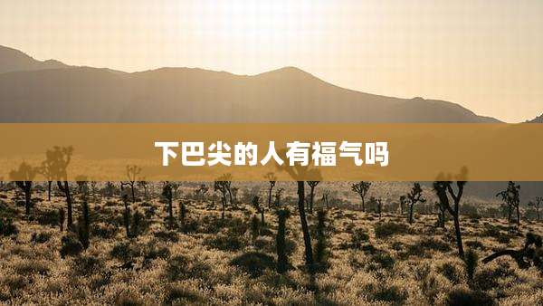 下巴尖的人有福气吗