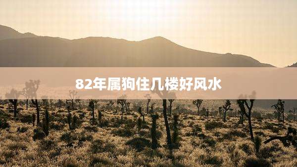 82年属狗住几楼好风水