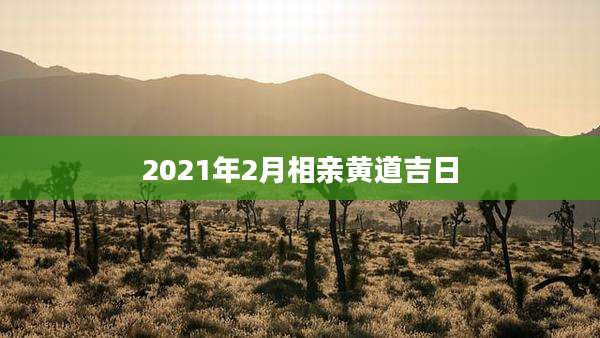 2021年2月相亲黄道吉日