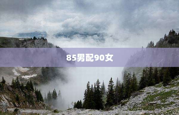 85男配90女