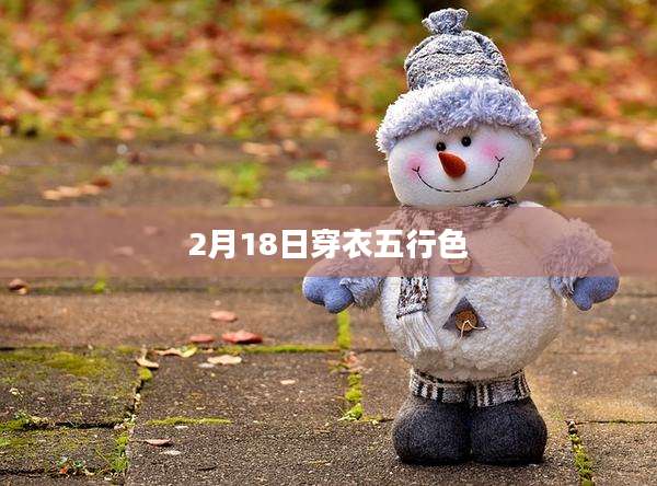 2月18日穿衣五行色