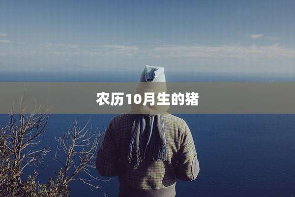 农历10月生的猪