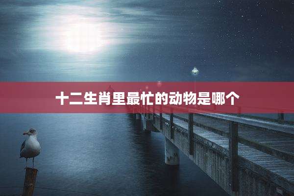 十二生肖里最忙的动物是哪个