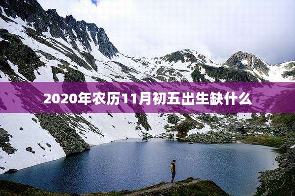 2020年农历11月初五出生缺什么