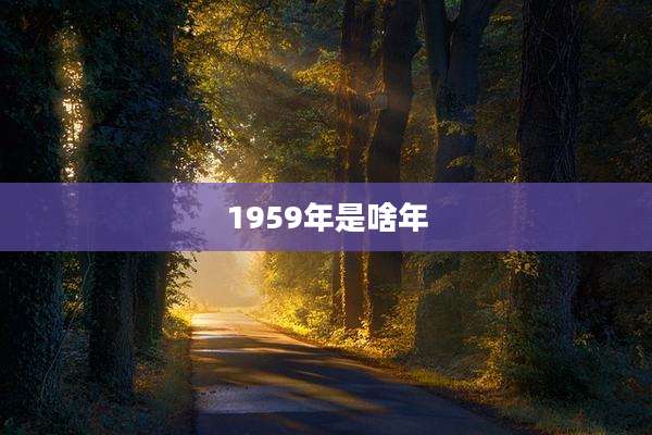 1959年是啥年