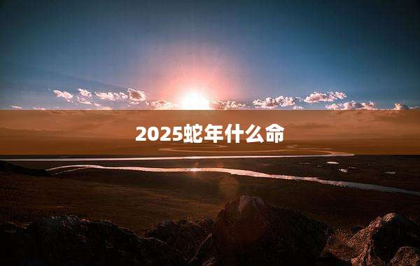 2025蛇年什么命