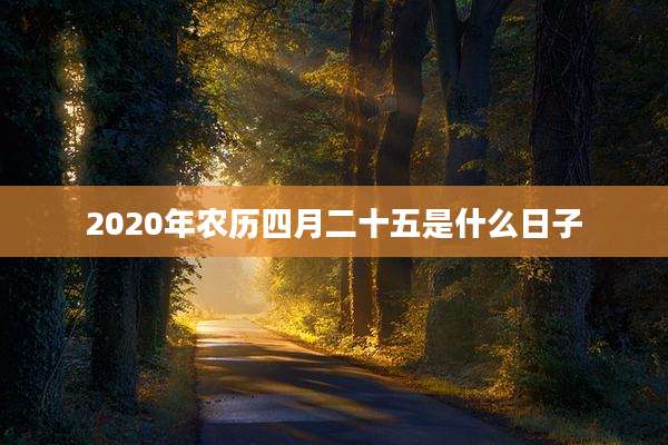 2020年农历四月二十五是什么日子