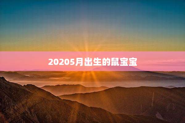 20205月出生的鼠宝宝