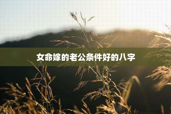 女命嫁的老公条件好的八字