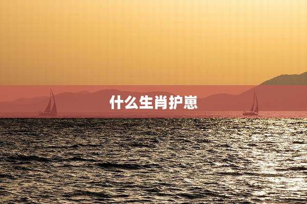 什么生肖护崽
