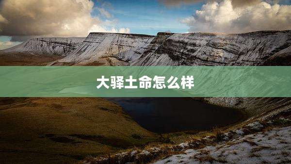 大驿土命怎么样