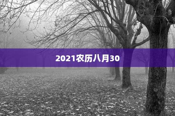 2021农历八月30