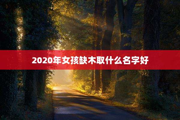 2020年女孩缺木取什么名字好
