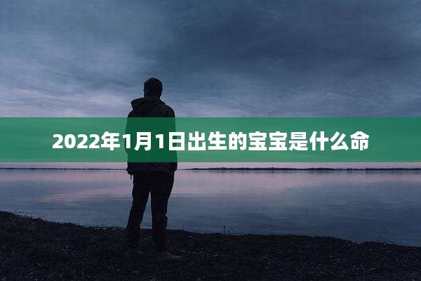 2022年1月1日出生的宝宝是什么命