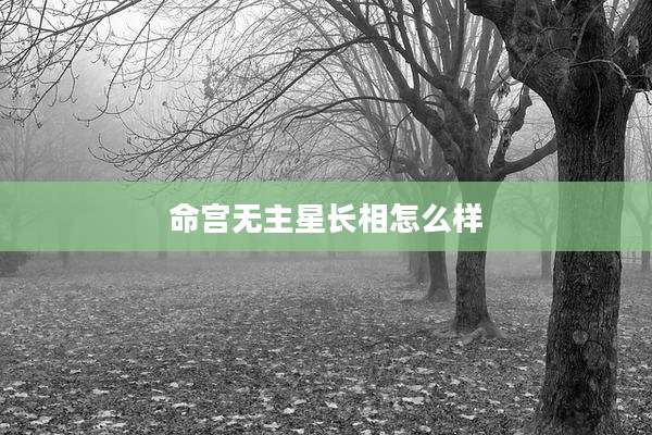 命宫无主星长相怎么样