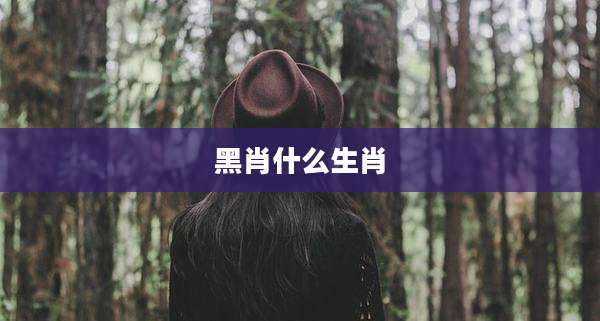 黑肖什么生肖