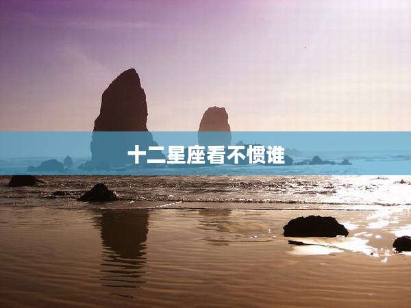 十二星座看不惯谁