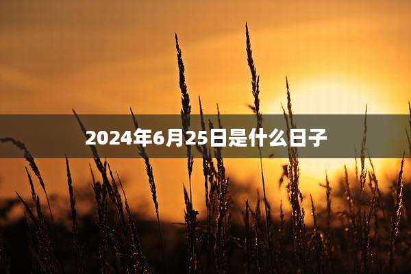 2024年6月25日是什么日子