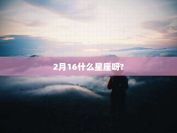 2月16什么星座呀?