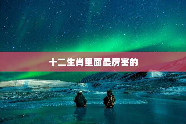 十二生肖里面最厉害的