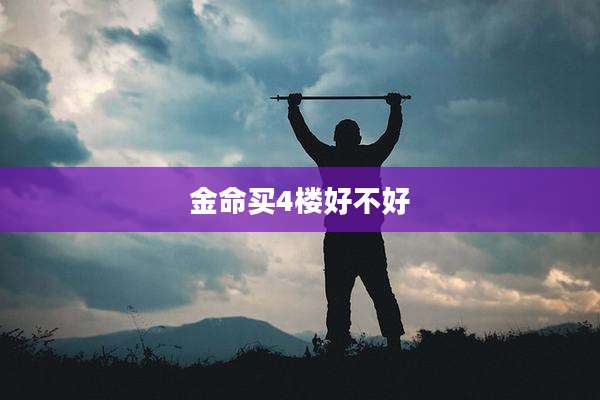 金命买4楼好不好