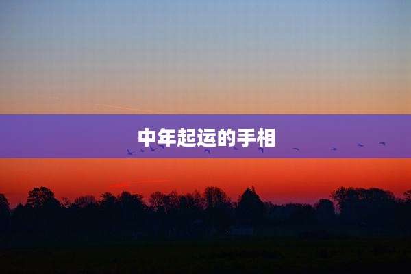 中年起运的手相