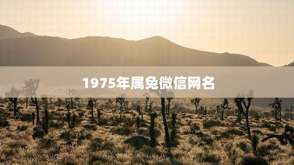 1975年属兔微信网名