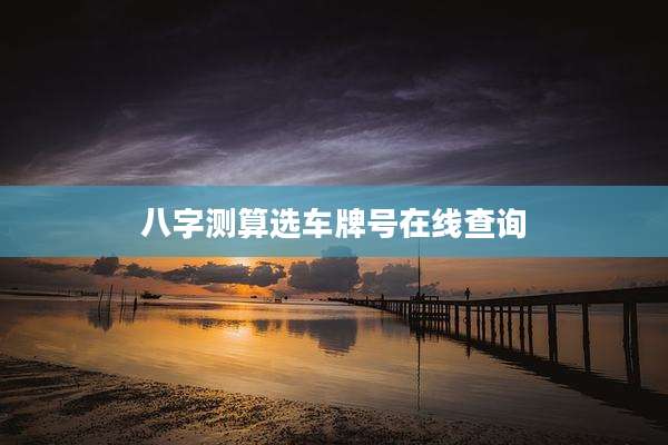 八字测算选车牌号在线查询